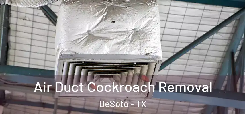  Air Duct Cockroach Removal DeSoto - TX
