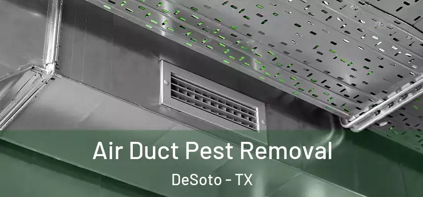  Air Duct Pest Removal DeSoto - TX