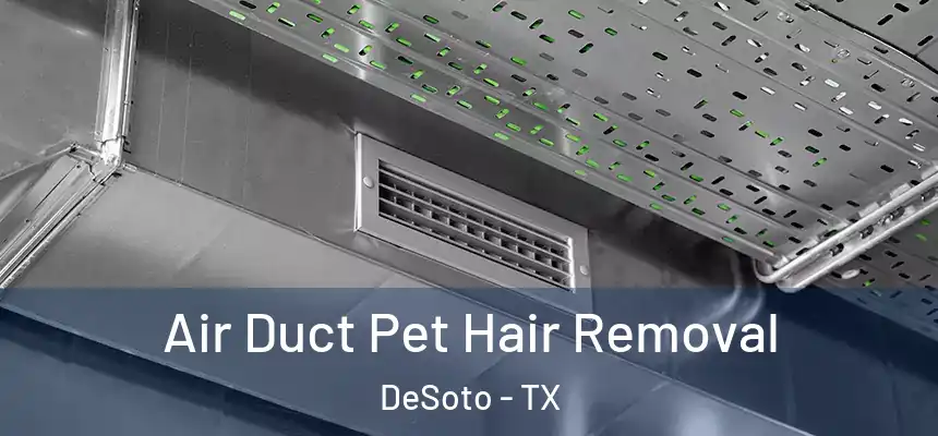  Air Duct Pet Hair Removal DeSoto - TX