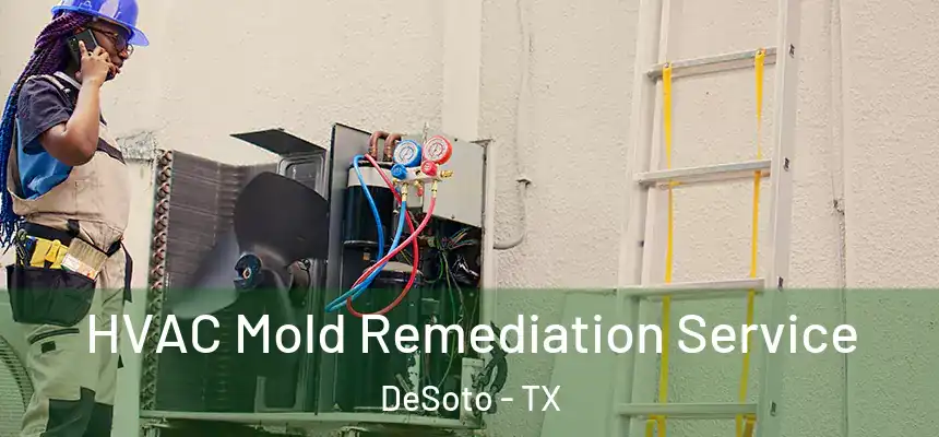  HVAC Mold Remediation Service DeSoto - TX