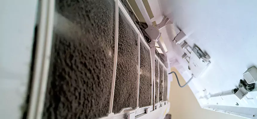 Preventive Air Duct Bacteria Removal in DeSoto