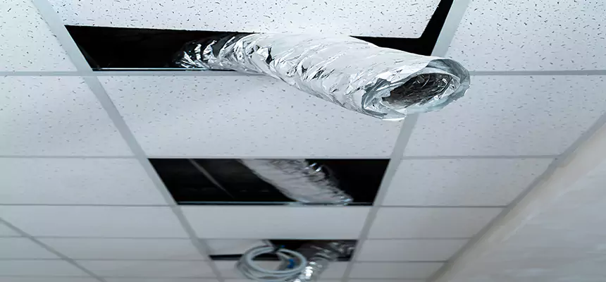 Our Air Duct Pet Hair Removal Services in DeSoto, TX