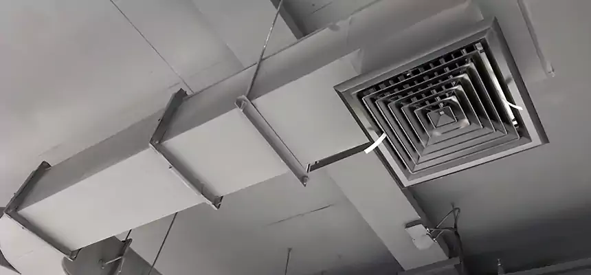 Restorative Allergy Relief Vent Cleaning – Coil, Blower & Housing Detail in DeSoto