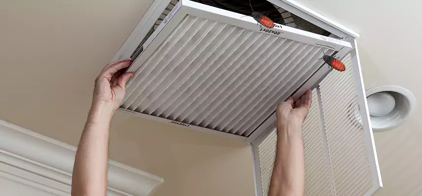 Our Insect Removal from Air Ducts Services in DeSoto, TX