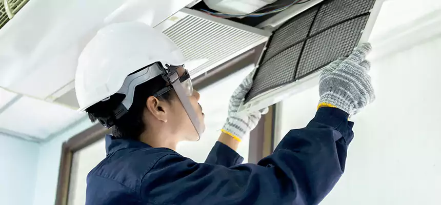 Our Mold & Mildew Removal from Air Ducts Services in DeSoto, TX