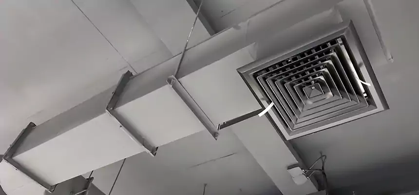 Our Pest Removal From Ducts Services in DeSoto, TX