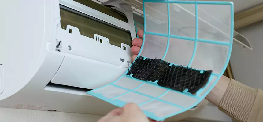 Gentle Ductwork Odor-Control Pet Dander Duct Cleaning in DeSoto, TX