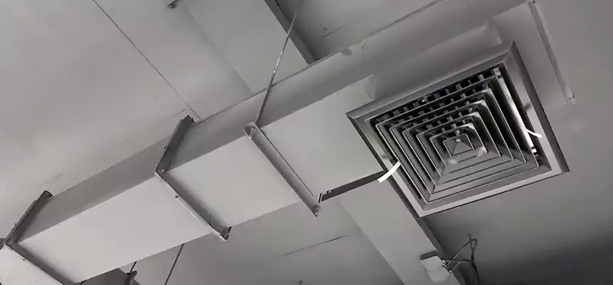 Our Rodent Droppings In Vents Services in DeSoto, TX