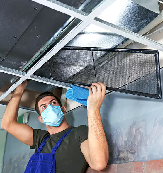 About Air Duct Bacteria Removal in DeSoto