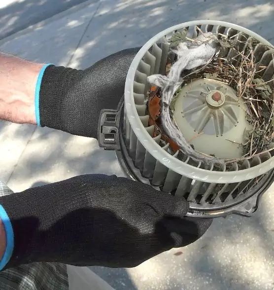 About Air Duct Mice Removal in DeSoto, TX