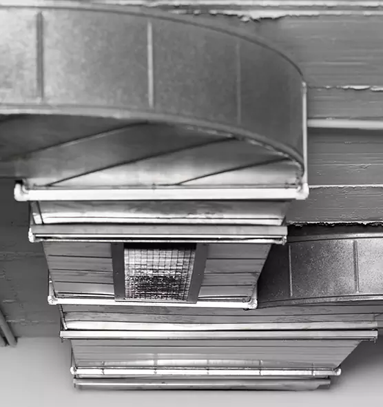 Professional Air Duct Pet Hair Removal in DeSoto, TX