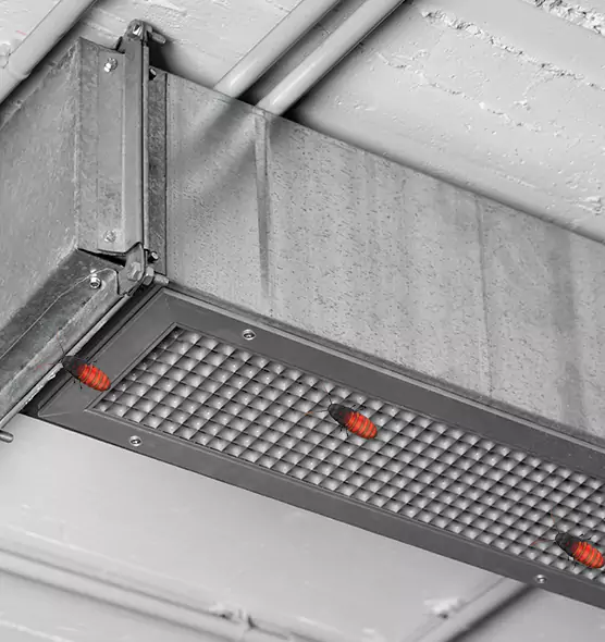 Affordable Insect Removal from Air Ducts in DeSoto, TX