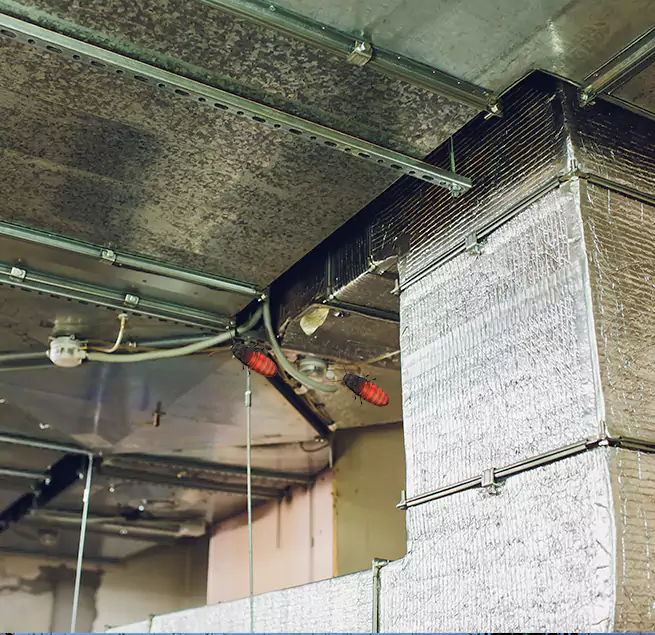 Why Homeowners & Businesses Trust Us in DeSoto, TX?