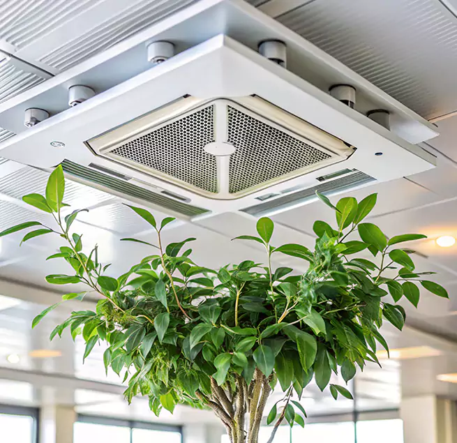 Why Homeowners & Businesses Trust Us in DeSoto, TX